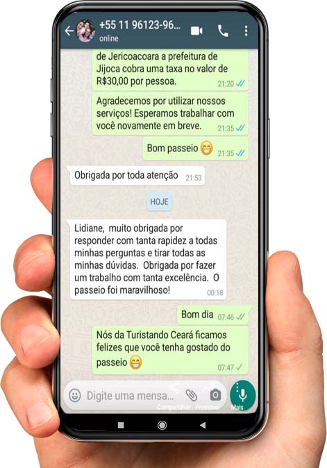 celular1